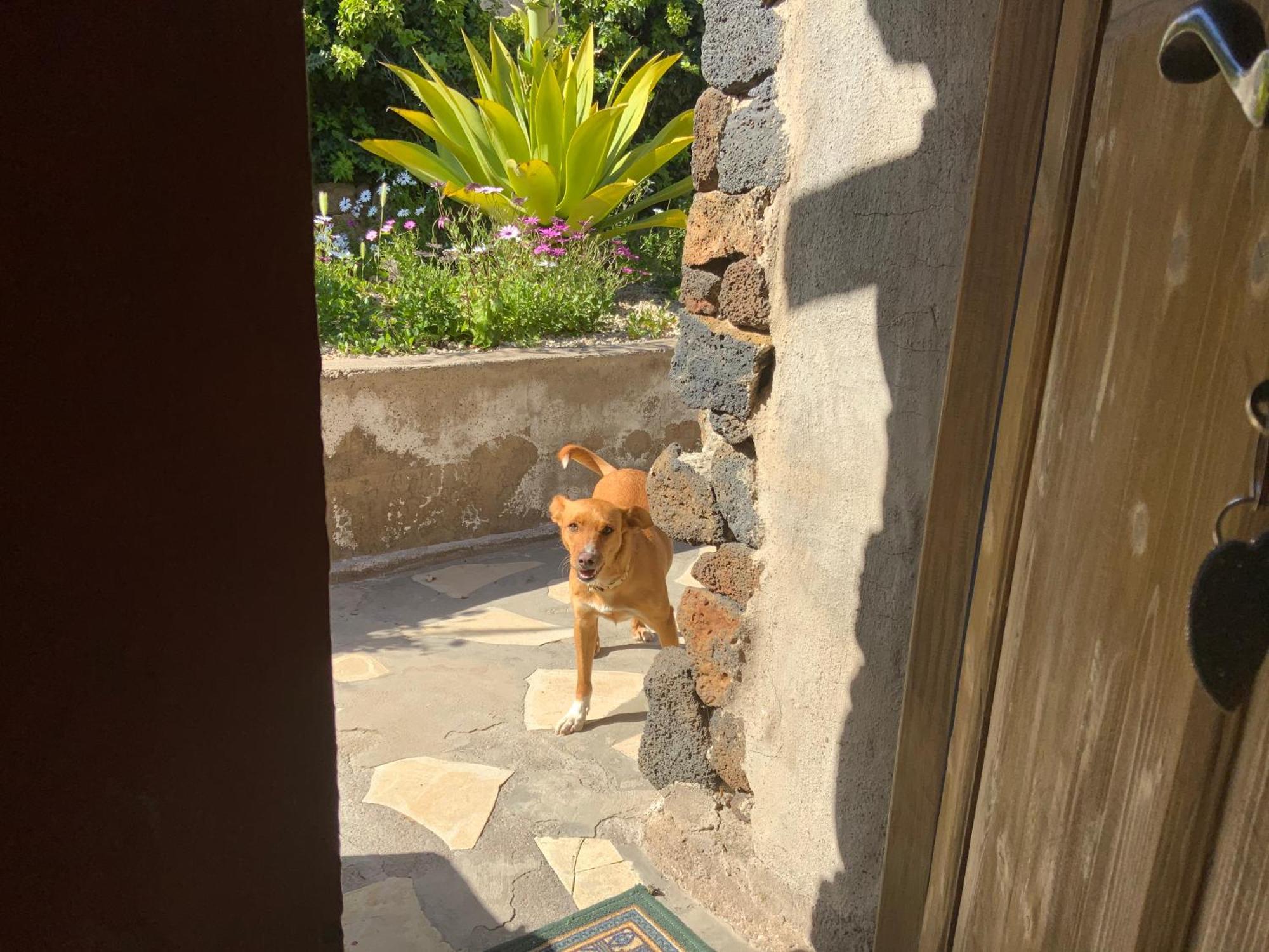 Casas Alberto Teleworking (Adults Only) ซานมิเกลเดียโบนา ภายนอก รูปภาพ